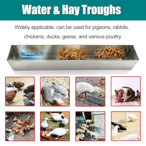 Comederos reforzados para aves domésticas aptos para pienso y agua 6