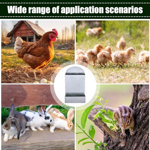 Alimentador de grano de pollo automático y grande con accesorios de metal portátil 5