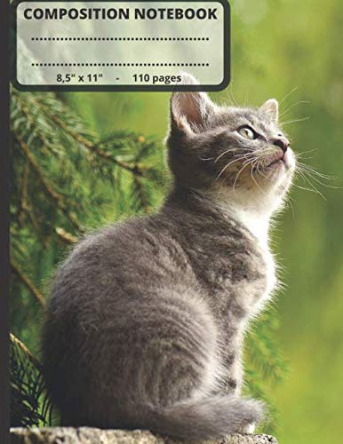 Composition Notebook 8,5 x 11 - 110 pages: Cute Cat School Notebook - Wide Ruled Paper - Composition Notebook College Ruled