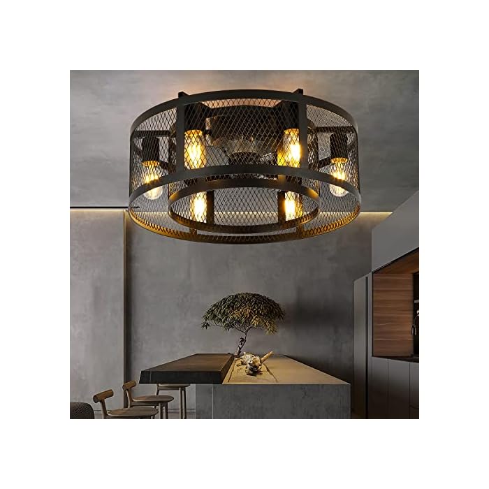 Buy Caged Ceiling Fan with Lights, Low Profile Caged Ceiling Fan with