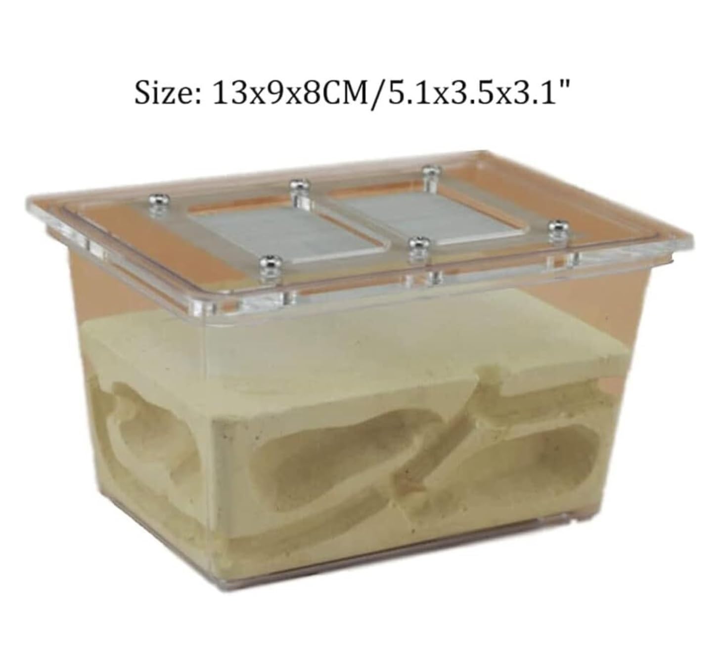 Formicario Ant Castle Research Ecosystem Farm Piccolo Formicaio Tetraedrico 5,1x3,5x3,1 Pollici Nest Habitat Nido Terrario