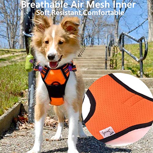 Louvra Pettorina Cane Imbracatura Durevole