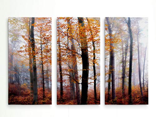 Renditions Gallery-Canvas Prints Wall Art-Lost in The Forest-Gallery Wrapped-Lanscape-Modern-Home DÃ©cor-Ready to Hang-3 Pieces-Each Canvas 20in.Wx40in.Hx1.5inD-Total Size-60 Wx40 Hx1.5 D