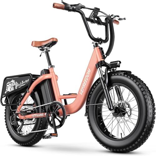 EUY 1500W Peak Electric Bike