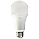 GE Sun Filled LED Light Bulb, 60 Watt, Soft White, A21 (1 Pack)