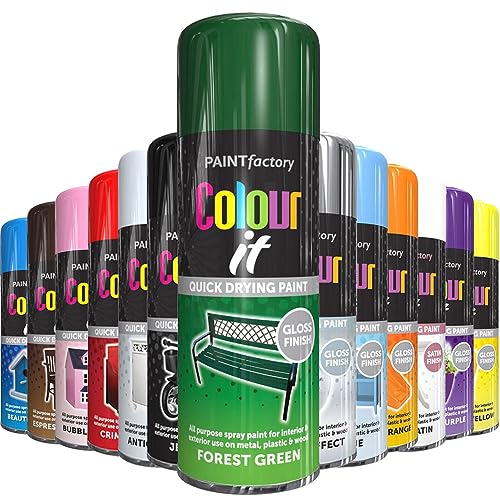 AlezyB - Forest Green 400ml All Purpose Spray Paint | Use on Metal Wood Plastic and Multipurpose Aerosol Professional Quality Perfect Finish for Interior Exterior and Excellent Coverage