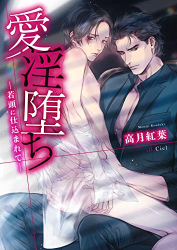 愛淫堕ち ―若頭に仕込まれて―【電子限定版】【イラスト入り】 愛淫堕ちシリーズ (ダリア文庫e)