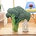 ZHQMeos Almohada de Verduras de simulación, brócoli, Patatas, Col China y cojín de Verduras,Brócoli 50 * 50cm
