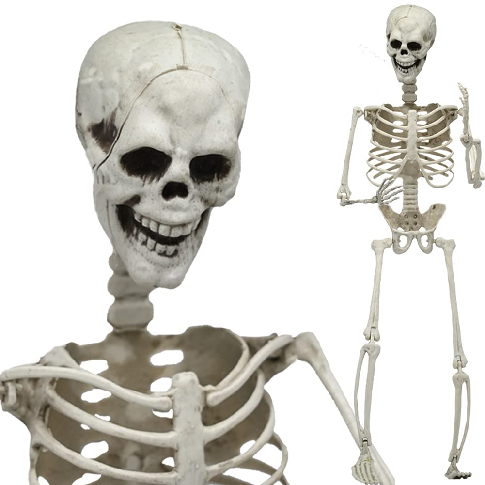 WODMAZHalloween Skeleton Decoration, 28" Realistic Full Body Halloween Skeleton with Movable/Posable Joints, Plastic Human Bones Body Prop for Halloween Haunted House Graveyard Indoor/Outdoor Decor
