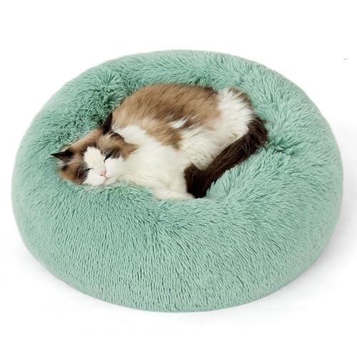 Image of Bedsure Calming Cat Beds Donut Round Washable Kitten Bed,20 inches Apple Green