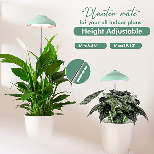 J&C Umbrella Grow Light For Indoor Plants, Height Adjustable, Plant Light With 7Ft Cord, 10-Level Brightness, 8/12/16H Automatic Timer, 3 Optional Spectrum, Ideal For Hanging/Wall Planter, Mint Green #TOP5