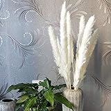 ✿ Utiliza flores de alta calidad para teñir y secar. Guárdalas en un lugar seco, no las pongas en un lugar húmedo, las flores secas deben ser transpirables.