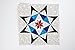 Carol Doak's Starry Block of the Month: 12 Paper-Pieced Quilt Blocks, 3 Projects
