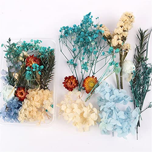 4 cajas de flores secas decorativas en resina para manualidades miniatura 5