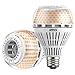 [UPGRADED] SANSI 27W (250 Watt Equivalent) A21 Omni-directional Ceramic LED Light Bulbs, 4000 Lumens, 3000K Soft Warm White Light, E26 Base Floodlight Bulb, Home Lighting, Non-dimmable (2 Pack)