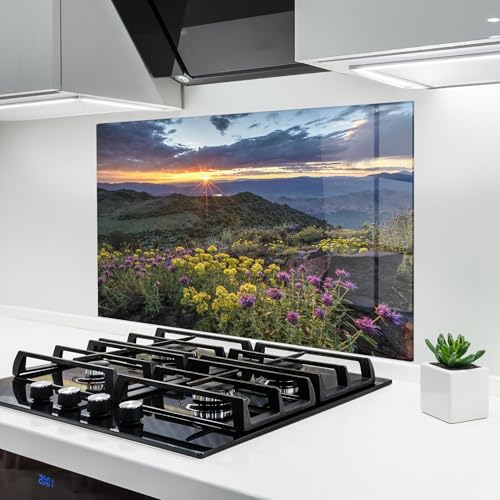 ARTHUB® Crédence de Cuisine en Verre 50x70 cm, Beautiful Spring View | Protection Contre Les éclaboussures, Revêtement Mural en Carreaux, Plaque en Verre,...