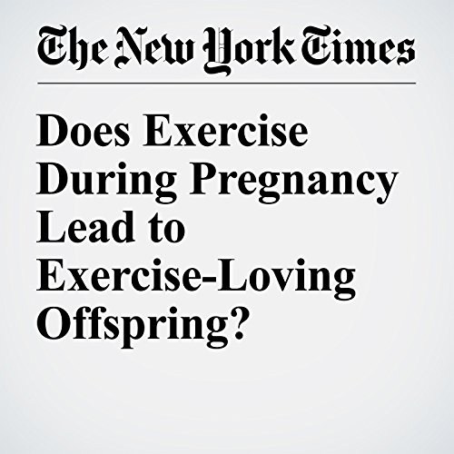 Does Exercise During Pregnancy Lead to Exercise-Loving Offspring? cover art