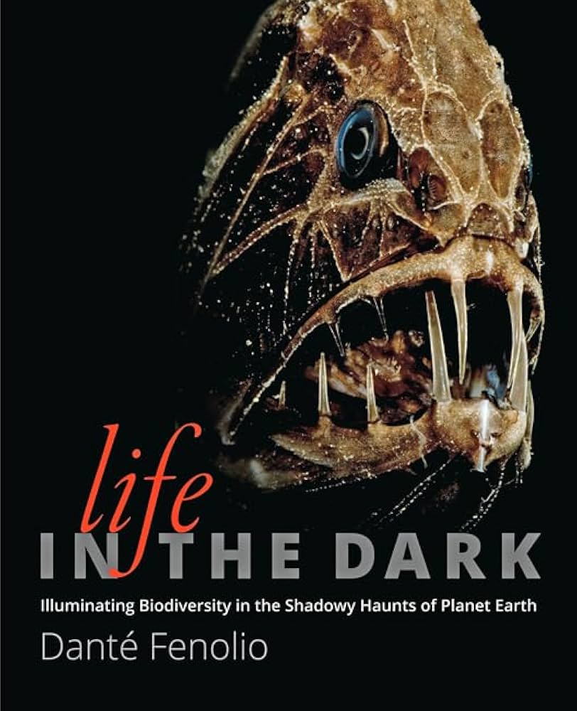 Amazon.com: Life in the Dark: Illuminating Biodiversity in
