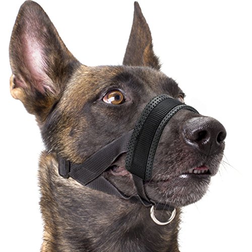 Best Dog Muzzle For Belgian Malinois 10Reviewz