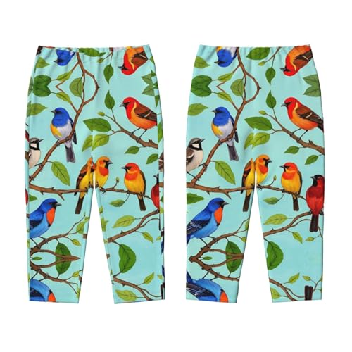 Pajama Pants Pajama Bottoms with Elastic Waistband Sleepwear Lounge Pants, Colorful Birds Branches3