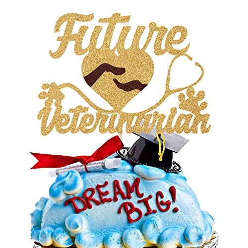 Future Veterinarian Cake Topper, Congrats Vet, Future Vet, Medical School Grad Decorations, Congrats Grad - image 1