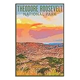 SDFSD Theodore Roosevelt National Park Vintage Travel Poster Decorative Posters Modern Bedroom...