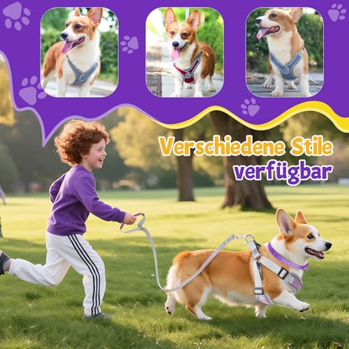 3 Stück Hundegeschirr und Leine Set, Verstellbares Brustgeschirr, Reflektierendes atmungsaktives Hundegeschirr mit D-Ring, Hundegeschirrs Set für Welpen, Kleine Hunde
