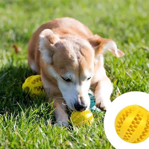 Roysmart 4 Stück Robuster Hunde Ball, Hundeball mit Zahnpflege-Funktion, Bissfestes Hundespielzeug, Naturgummi Hund Feeder Ball für Kleine Hunde (5cm)