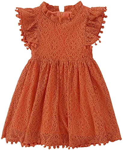 Image of Toddler Girls Lace Tulle Dress Baby Girl Elegant Flutter Sleeve Party Princess Dresses