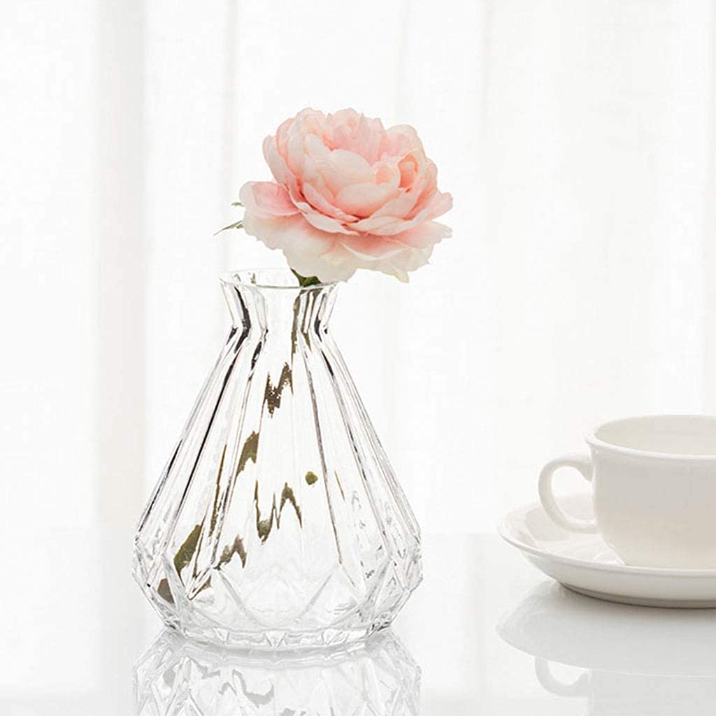 Kleine Vase, dekorativ, 17,8 cm hoch, klare Glasknospenvase für Zuhause/Grünpflanzen (Farbe: C) (D)