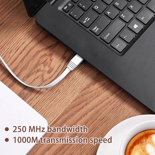 Cable Ethernet Plano Cat 6 de 10 m con Conector RJ45 miniatura 5