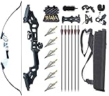 Monsour Archery 51' Takedown Recurve Bow and Arrows Set for Adults Right Hand Longbow Kit Metal Riser for Beginner Shooting Practice (Silver 30lb)