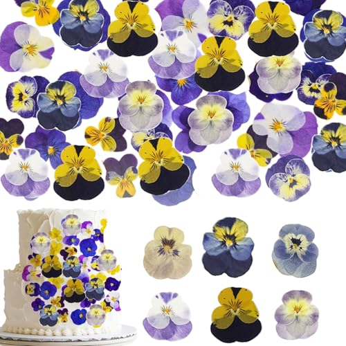 48 Piezas Flores Secas Naturales Viola Tricolor Mix miniatura 1