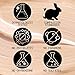Pacifica Concealer – DreamLit Glow Full Coverage Concealer with Squalane for Dark Circles & Dark Spot Correction, Lightweight & Long-Lasting, Vegan & Cruelty-Free, Shade 09 (Warm Honey)
