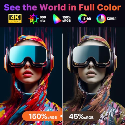 Portable Monitor for Laptop 17.3 Inch