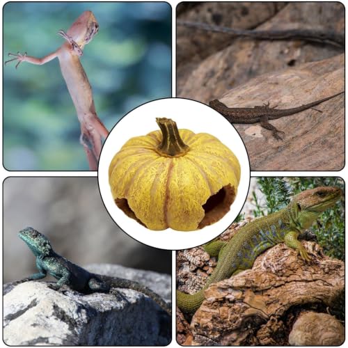 Escondite para serpiente de resina y refugio natural para gecko o pogona 6