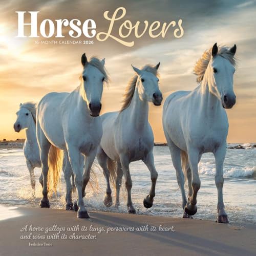 Carousel Calendars, Horse Lovers Special Value 2026 Wall Calendar, 12'' X 12'', 16-Month Calendar with Stapled Binding