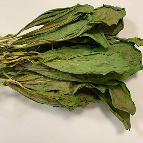 小動物のおやつ 国産 無添加 こまつ菜 乾燥 20g 乾燥野菜 小松菜 ドライベジタブル 天然素材 小動物 うさぎ ハムスター デグー メール便 【DBP】