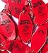 Rosebud Motel Keychain - Schitt's Creek Motel Key fob