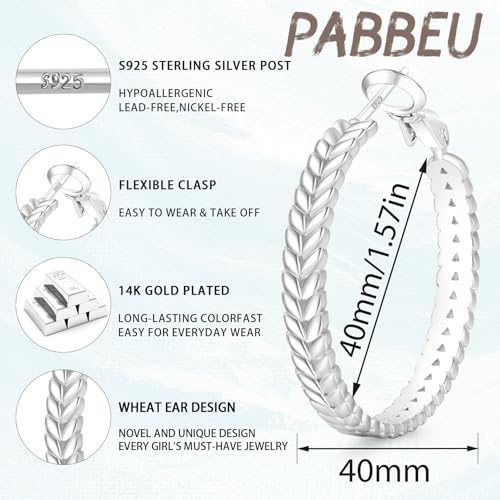 PABBEU Sterling Silver Hoop Earrings, 925 Sterling Silver Hoops Earrings for Women, Lightweight Silvers Hoops Earrings, Hypoallergenic Large Silvers Hoop Earrings for Women Gift 30/40/50MM2
