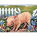 ZMGYA 2000 Puzzle in Legno Pig,2000 Puzzle Impossibili Giocattoli Puzzle impegnativi finito Misura 105 x 75 cm Una Volta completato.