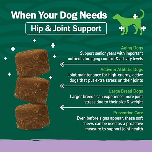 Petnc Hip & Joint Health Supplement for Dogs (90 Chews), Glucosamine Chondroitin MSM Dog Chews with Hyaluronic Acid, Liver Flavored Bone & Joint Support Supplement, For All Breeds