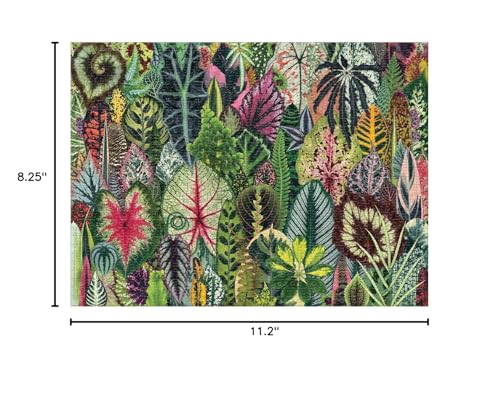 Puzzle Plantas 3 a 14 anos miniatura 5