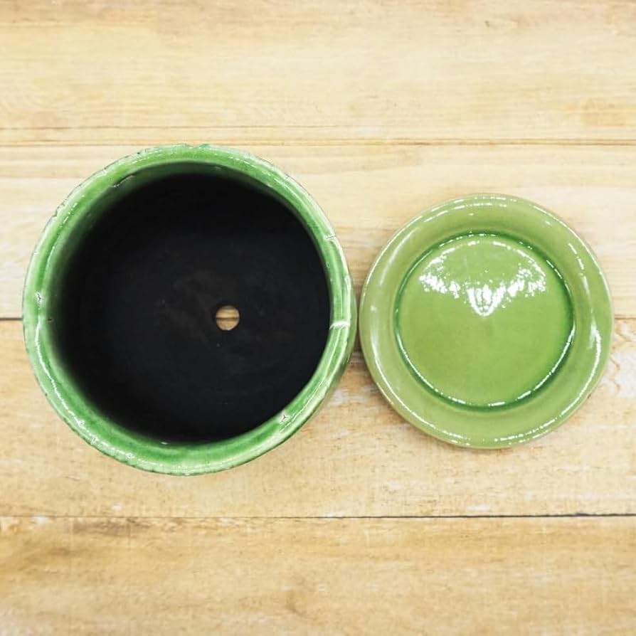 のらさま　2点　鉢 鉢 セラアート 睡蓮鉢 39号 黒 (外径390×高さ210mm) ビオトープ