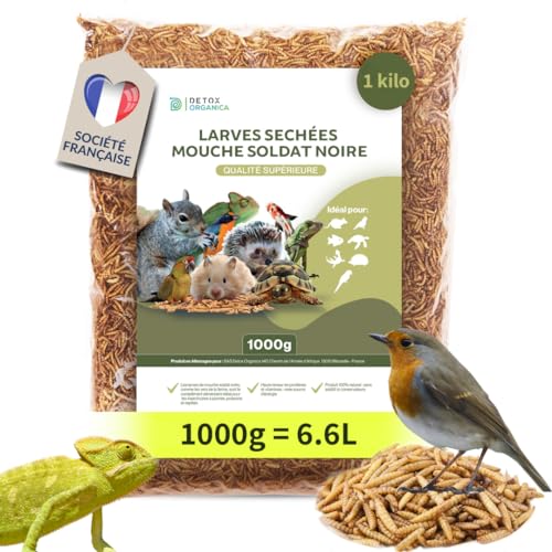 Larve Mouche Soldat Noire 1000g / 1k (équivalent 6,6 litres) Qualité Premium, Black Soldier Fly : Friandise pour Oiseaux, Hérissons, Tortues, Reptiles, Poissons,...
