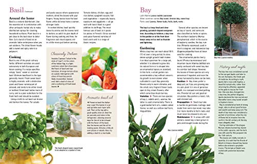 Reader'S Digest Reader'S Digest The Essential Book Of Herbs: Gardening * Health * Cooking  thumb #7