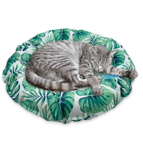Pets Family(ybct@~[) Ђ}bg WF xbh  L N[}bg ~` h t p ⊴ \h ΍ ₽ ⊴ p (M, [t)