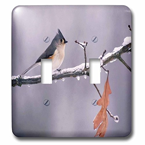 3dRose lsp_61975_2 ~VKB̃^tgVWEJ  _ugOXCb`