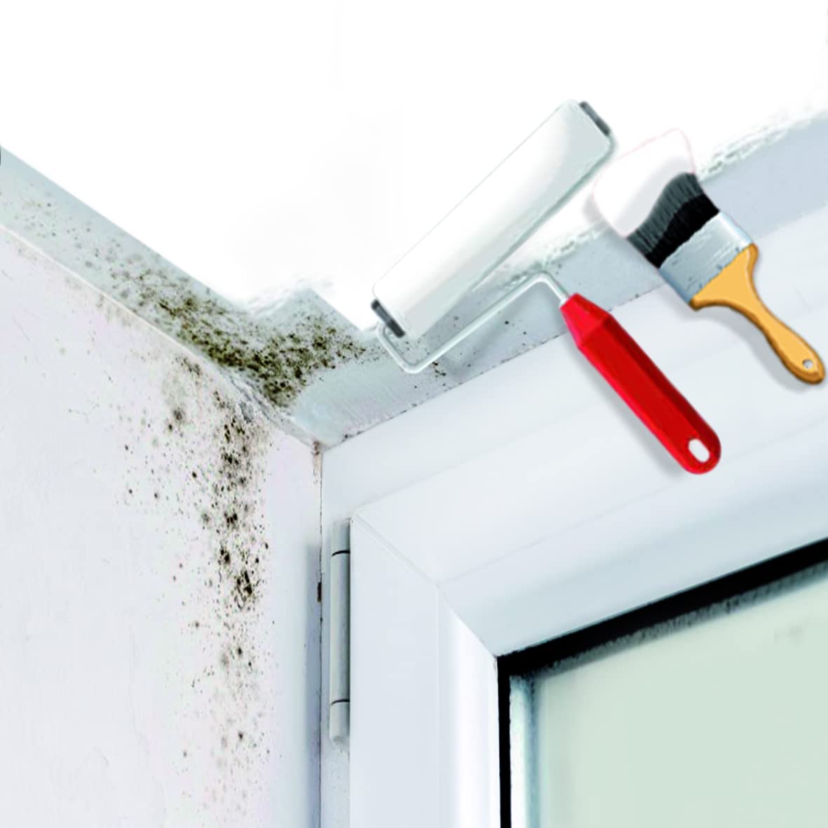 Fischer - Pintura blanca antihumedad y antimoho para interior 4L