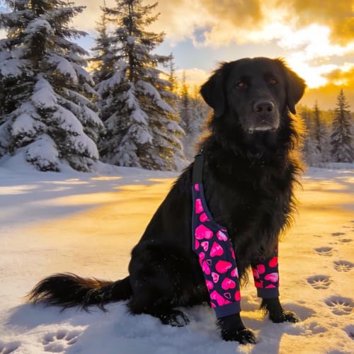 Image of Dog Elbow Wraps Knee Protector Pads Elbow Callus Treatment Sleeve for Wounds Front Legs Prevent Licking for Medium Large Dogs 2XL,Heart